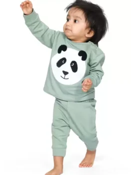 Baby Boys & Baby Girls Casual T-shirt Pant (Green).