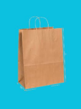 Paper Carry Bag