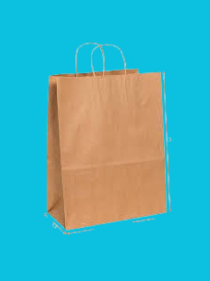 Paper Carry Bag